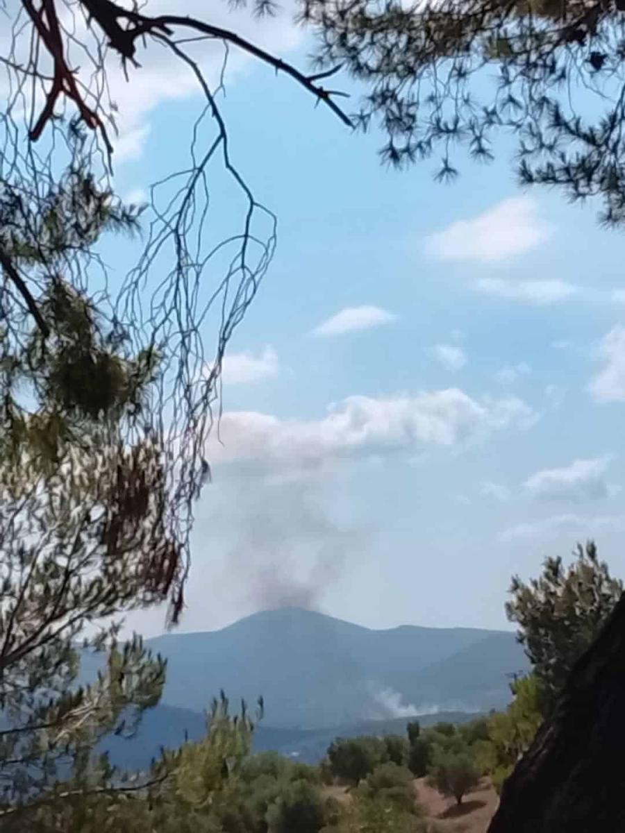 Μεγάλη φωτιά στην Οινόη του Δήμου Μάνδρας - Επιχειρούν εναέρια μέσα 7 737721891 4495641597372053 6046995605317000482 n