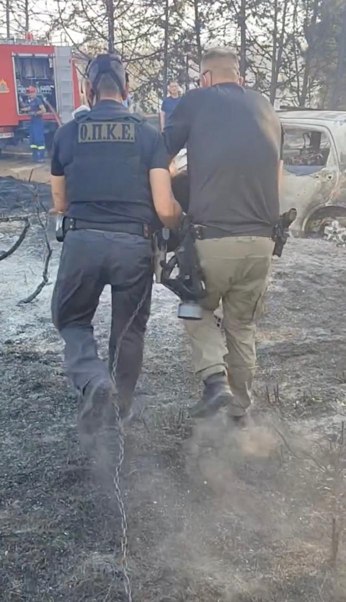 Αστυνομικοί έσωσαν σκύλο από τα καμμένα στη φωτιά στο Ωραιόκαστρο 2 stigmiotypo othonis 2026 07 06 02.12.34