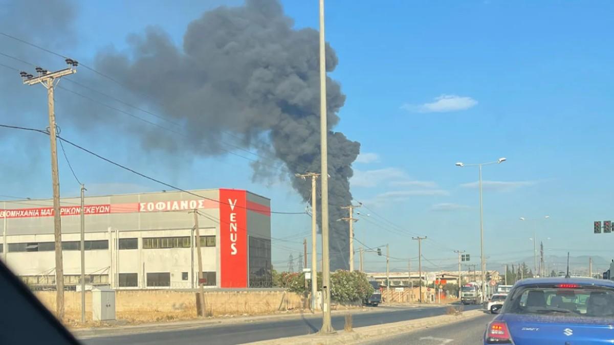 Ισχυρές δυνάμεις της Πυροσβεστικής στη μάχη με τις φλόγες