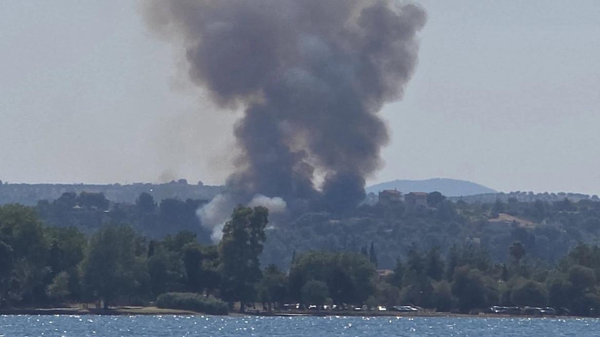 Σε πλήρη εξέλιξη η επιχείρηση κατάσβεσης της πυρκαγιάς σε αγροτοδασική έκταση στον Ωρωπό.