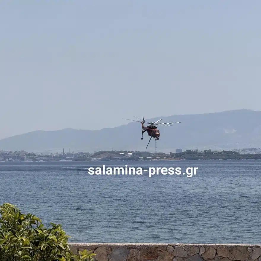 fotia selinia 3