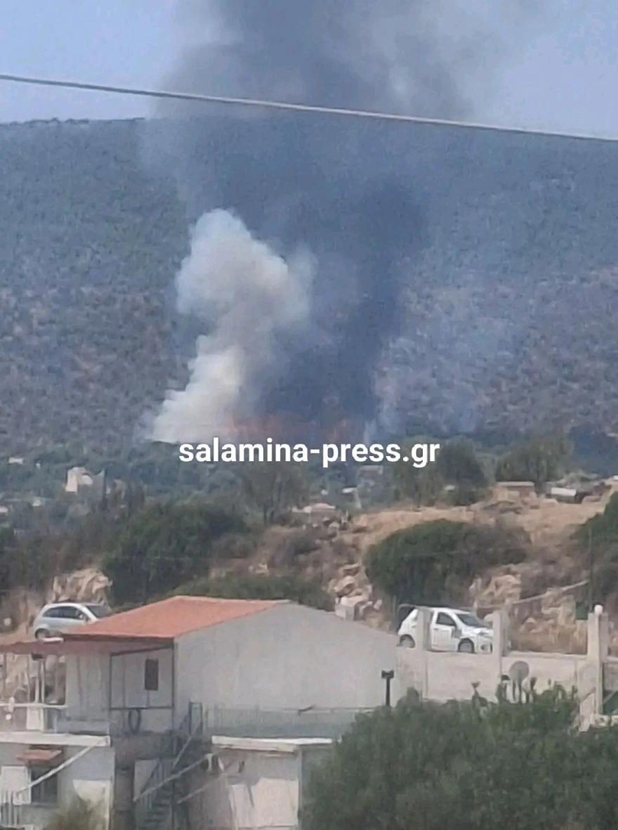 Φωτιά στη Σαλαμίνα στην περιοχή Σελίνια: Μηνύματα του 112 στους κατοίκους – «Απομακρυνθείτε προς παραλία» 7 fotia selinia 5