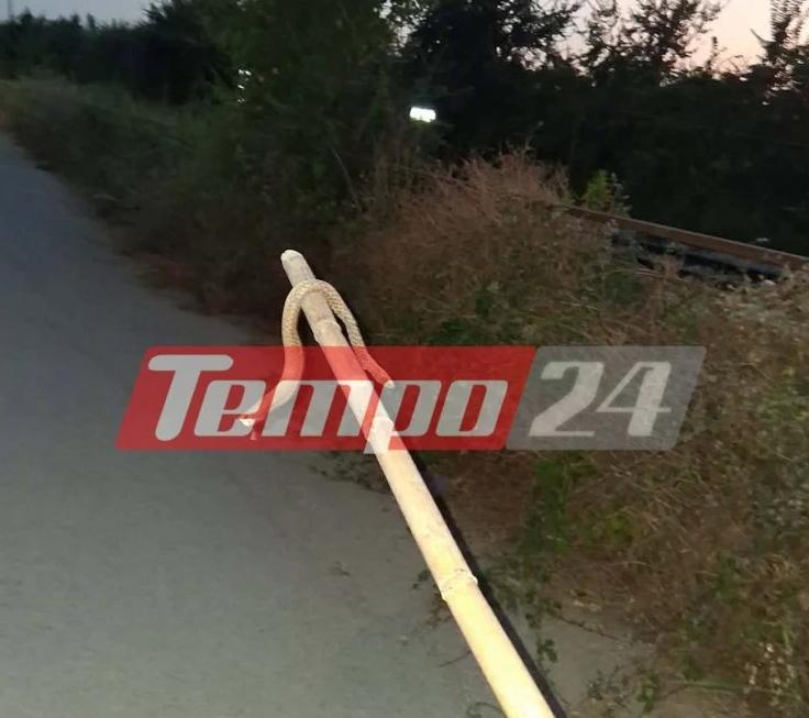 Πάτρα: Ακαθάριστα οικόπεδα γεμίζουν φίδια και ποντίκια – Σε απόγνωση οι κάτοικοι 1 fidi