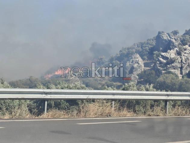 Φωτιά στο Ρέθυμνο: Καίγεται το φοινικόδασος της Πρέβελης 3 preveli 1.jpg