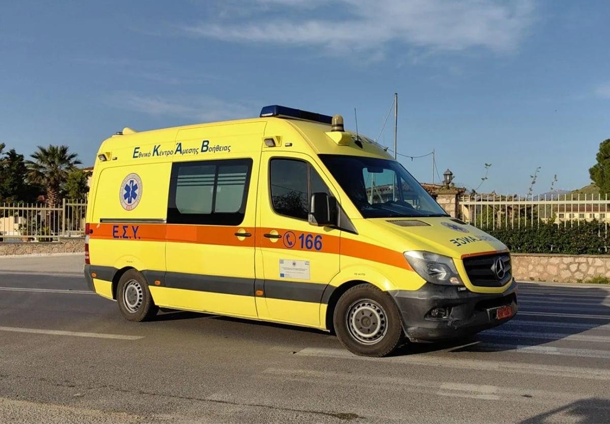 Τσακάλι δάγκωσε στο πρόσωπο 4χρονη και το έσερνε από την πλάτη 2 ekav3007