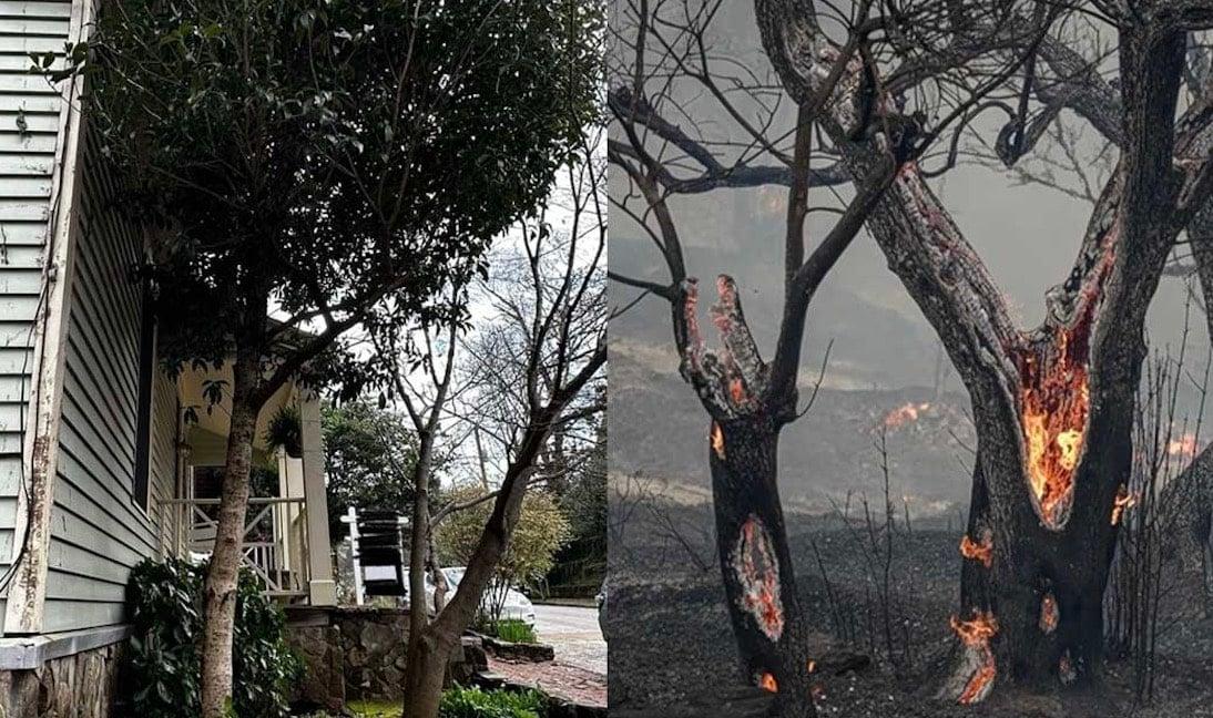 Τα "κλικ" από τις υπογραφές Βιτάλις στην ΑΕΚ - Η πρώτη ατάκα του (pics-vid)
