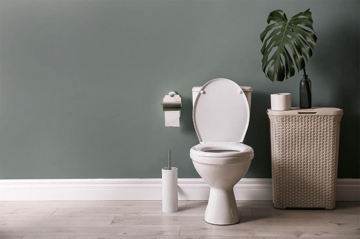 toilet clean 1