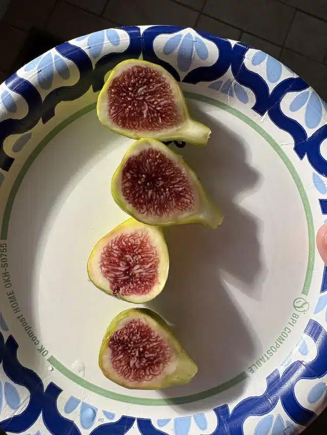 strawberry verte fig wow v0 2nmyfyn6mcjh1