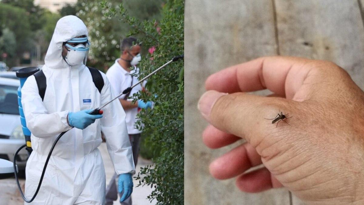 Οι υγειονομικές αρχές συνιστούν αυστηρή προστασία από τα τσιμπήματα κουνουπιών, ιδιαίτερα για ηλικιωμένους, ανοσοκατεσταλμένους και άτομα με χρόνια νοσήματα.