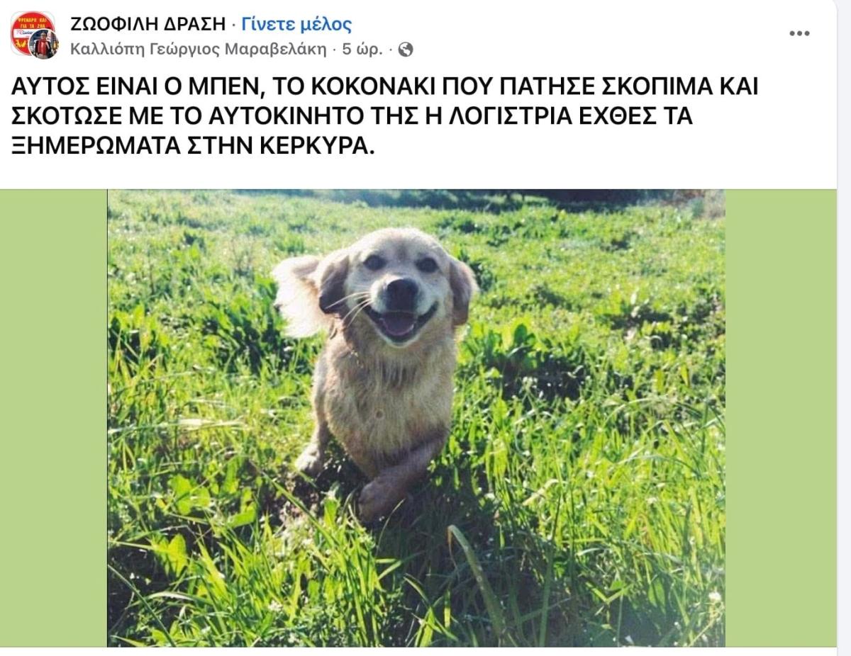 Πανελλήνιος θρήνος για τον Μπεν που σκοτώθηκε στην Κέρκυρα 1 stigmiotypo othonis 2026 08 24 01.15.16