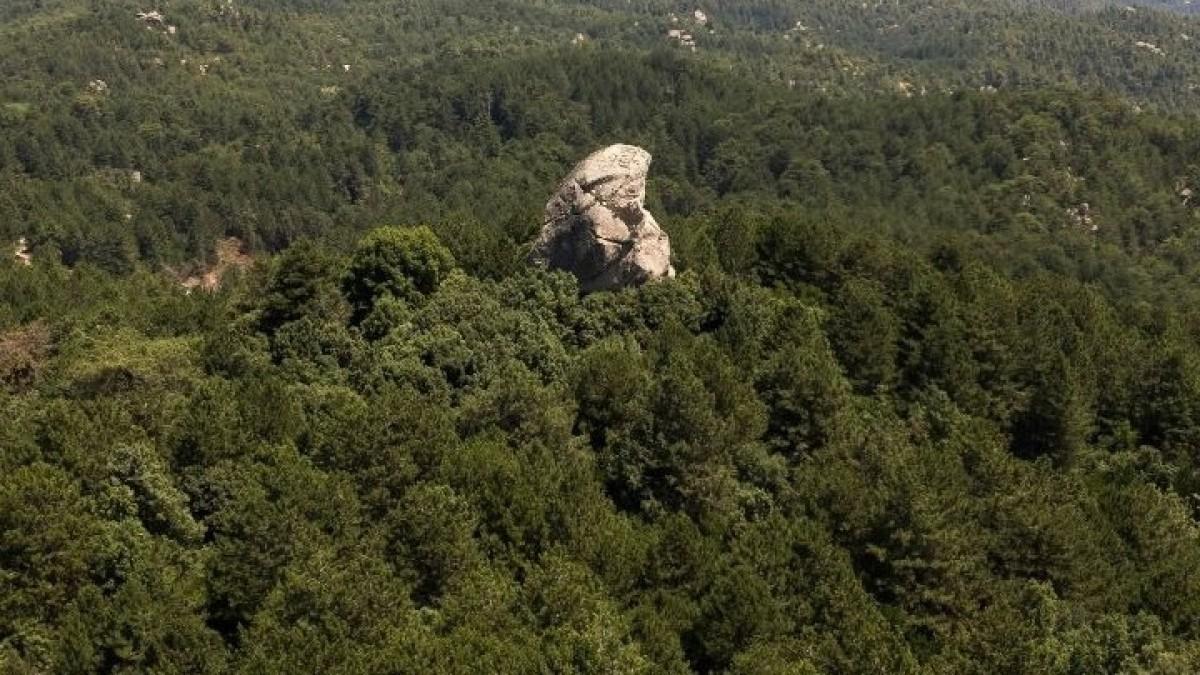 Απαγόρευση κυκλοφορίας στη Χαλκιδική – Ποιες δασικές περιοχές αφορά