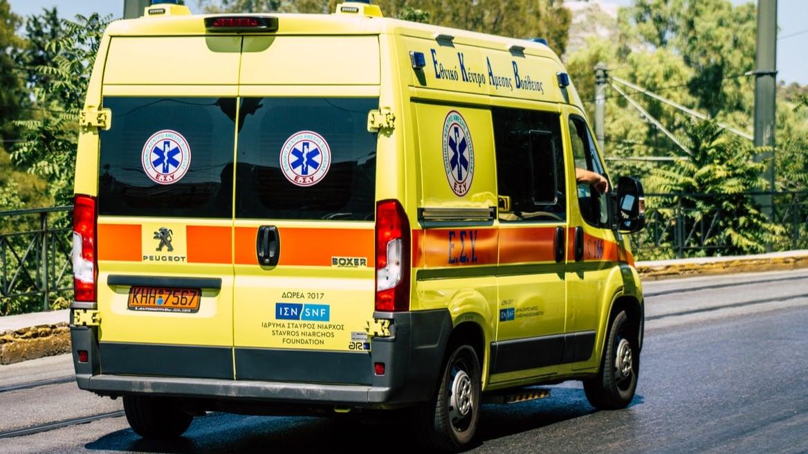 Οχιά δάγκωσε 18 μηνών βρέφος και τον 14χρονο αδερφό του 2 ekav